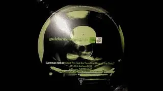 Common Nature - Can't You See The Sunshine Through The Rain? (80's Club Anthem)