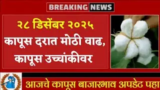 कापूस भाव आजही वाढले | २८ डिसेंबर २०२५ कापूस बाजारभाव | आजचे कापूस भाव | kapus bhav today | kapas 