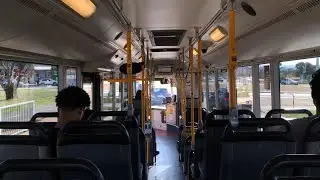[Transport Canberra] Scania L94UB CNG (Custom Coaches CB60) - BUS 347