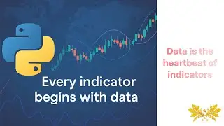 OHLCV Explained | Get Binance Spot Price with Python & Export Data to TXT
