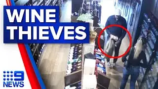Two thieves caught on CCTV stealing wine bottle worth $12,500 | 9 News Australia
