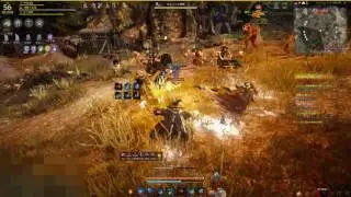 Black desert wizard corruption Leveling