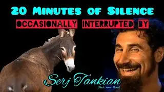 20 Minutes of Silence Occasionally Interrupted by Serj Tankian