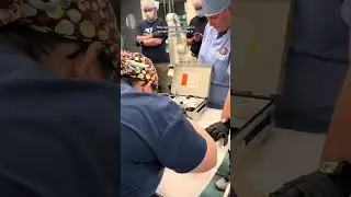 DITL - Animal Health Team