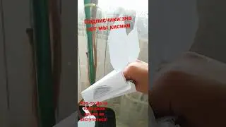 мои полписчики кисики ❤✨