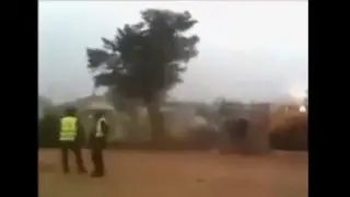Ajaib Pohon dirobohkan bisa berdiri lagi