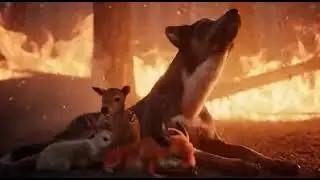 Rex Was A Real Hero