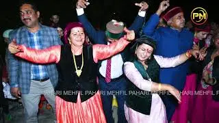 Mama entry video Rohru shimla ,pahari mehfil, pahari nati ,pahari official,shimla nati
