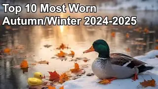Top Ten Most Worn Fragrances Autumn And Winter 2024/2025