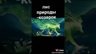 Лисы