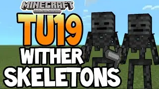 Minecraft (Xbox 360/PS3) - TU19 UPDATE! - WITHER SKELETON! - EXPLAINED!
