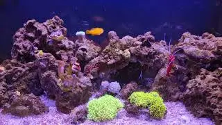 Nano Reef 3000lph