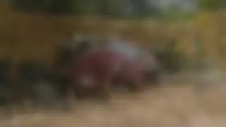 JEEPEIROS MANAUS 4X4 2020