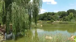Shoyoen Japanese Gardens, Dubbo