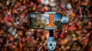 iPhone XS Max on DJI Osmo Mobile 2 Captured with FiLMiC Pro