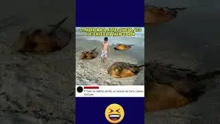 Смешно до слез и не знаешь чего ожидать #юмор #мемас #смех #comedyfilms #прикол #смешнойшортс #ржака