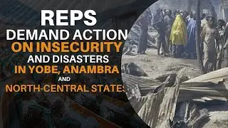 Reps Demand Action on Insecurity and Disasters in Yobe, Anambra and North Central States
