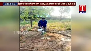 Huge response to MP Santhosh Kumar ''Green Challenge'' | TNews Telugu