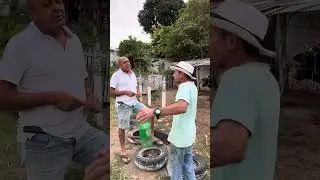 Papa-sebo ainda est&aacute; bravo com a vaca 😂😂😂😂😂😂😂😂