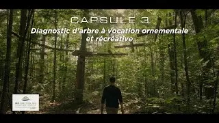 CAPSULE 3 : Diagnostic d'arbre à vocation ornementale et récréative