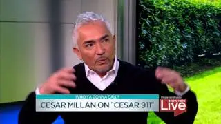 Cesar MIllan on 