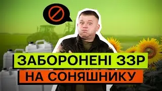 🚨 СПИСОК ЗАБОРОНЕНИХ ДІЮЧИХ РЕЧОВИН НА СОНЯШНИКУ. ЯКІ ЗБИТКИ І РИЗИКИ?