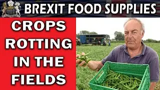 Crops Rotting in the Fields Again