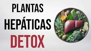 ¿Cómo DETOXIFICAR el hígado?🌿Descubre estas PLANTAS MEDICINALES - Dr. Domingo Pérez León