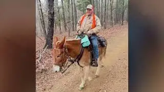 Back Country Horsemen of Northwest Arkansas State 