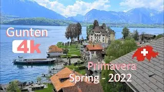 🇨🇭 SWITZERLAND GUNTEN Merligen INTERLAKEN in Spring  Walking Tour beautiful villages  SUIZA  4k 🇨🇭
