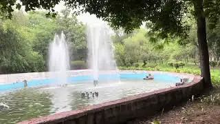 Nehru Park Delhi - A Hidden Gem in the City
