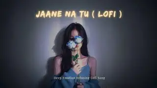 JAANE NA TU - LOFI SONG VERSION | HINDI LOFI ( SLOWED & REVERB ) MASHUP