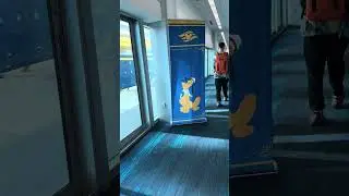 Walking onto the Disney Wish #cruiseship #disney