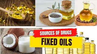 VET PHARMA 2 | Sources of Drugs: Fixed Oils | Module 2.4 (Student Output)