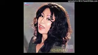 KIM JUNG MI - 나는 바보인가 봐