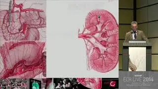 Essentials of Transcatheter Embolization - HD [Basic Radiology]