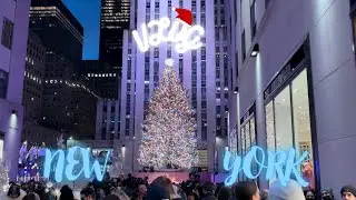 VLOG CHRISTMAS TREE NEW YORK ET MATCH NBA