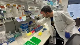 Перепрограммирование иммунной системы для борьбы с колоректальным раком | Джесси Бумельха, доктор...