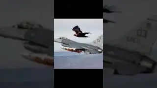 Golden Eagle Vs Fighter Jeet | #shorts #trending #viral #short | OC VLOGSTAR