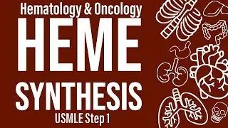 Heme Synthesis (Heme/Onc) - USMLE Step 1