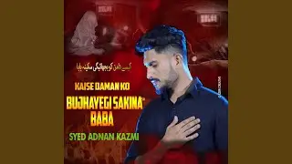 Kaise Daman Ko Bujhayegi Sakina Baba