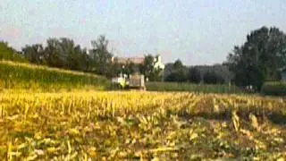 mazzarolo