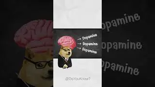 Addictions  #doyouknow #education #facts #memes #funny #story
