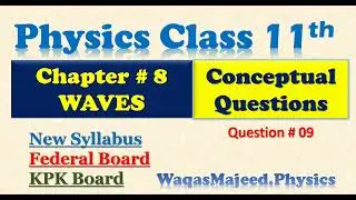 Chapter 8|Conceptual Questions |Waves|Physics Class 11|Federal & KPK Boards|New Syllabus|