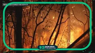 Crews still battling forest fire in New Jersey