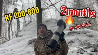RF 200-800 with Canon R8, 2 months of use on the field..