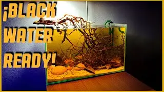 ASÍ PREPARAMOS NUESTRO ACUARIO AGUAS NEGRAS 🍂 ANTES DE INTRODUCIR A LOS PECES🐠