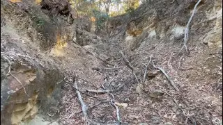 Old ground , new Gold ( WE WENT BACK )