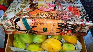 Unboxing our mango gift | Mango season in Pakistan
