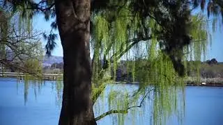 Sights Of Canberra - Commonwealth Park & Lake Burley Griffin, 2022.